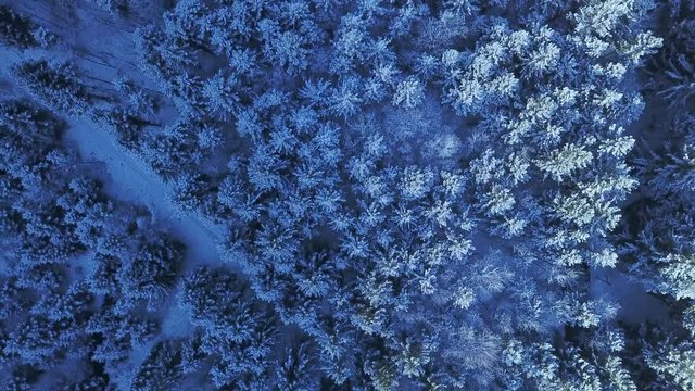 aerial flight over winter landscape in ebensee