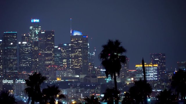 Downtown Los Angeles at night with palm trees in the foreground