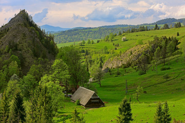 Pieniny-rezerwat przyrody Biała Woda © Janusz Lipiński