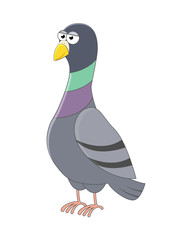 Cute cartoon pigeon. Vector illustration. Smiling pigeon. Vector bird.