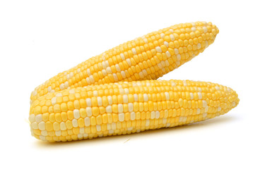 Corn on a white background 