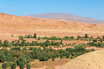 Landscape of green trees at dades valley in Morocco 