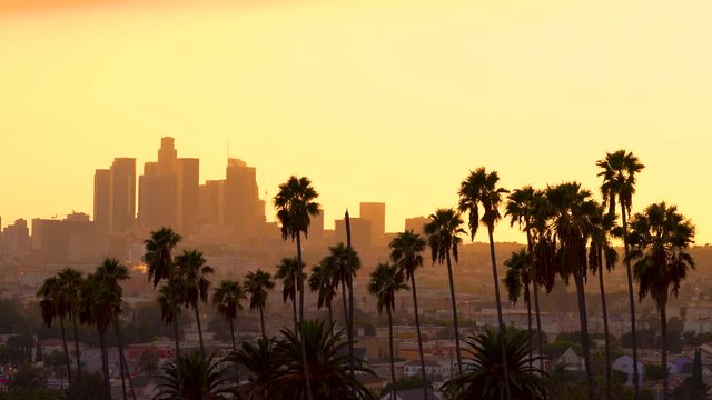 Downtown Los Angeles cityscape at sunset with palm trees in the foreground