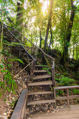 Naklejka premium Kew Mae Pan Nature Trail Trekking trail leading through jungle