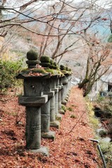 Stone lanterns in Japan