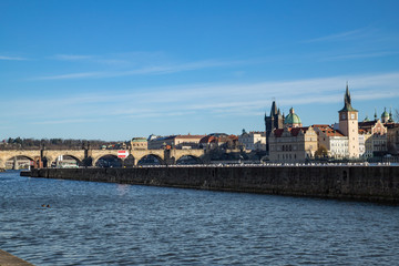 Schwan Prag Karlsbrücke
