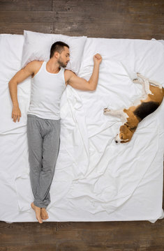 Young Man Relaxation On The Bed Top View With A Dog