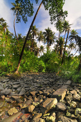 Leluh archaeological site  on Lelu Island, Kosrae State of Micronesia.   © robnaw