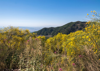 Panoramic view of Mount Vesuvius and Gulf of Naples on a summer hazy day, Campania, Italy, Europe