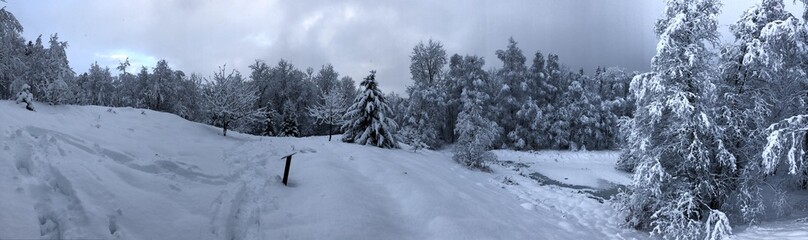 VILLAREMBERT - LE CORBIER