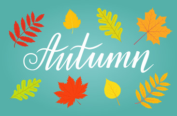Fototapeta na wymiar Autumn banner with falling multicolored leaves. Lettering handwritten. Vector flat illustration.