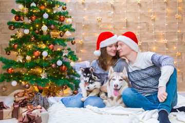 Obraz premium Woman, man, dogs husky, Christmas tree, hat