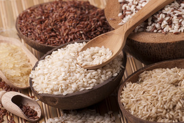 Various kinds of rice