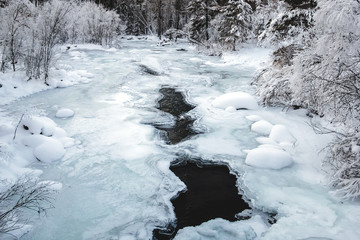 Frozen river in a forest