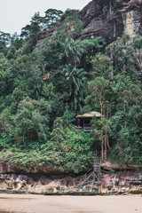 Fototapeta premium Bako Nationalpark in Malaysia auf Borneo