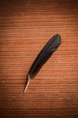 feather on wood table