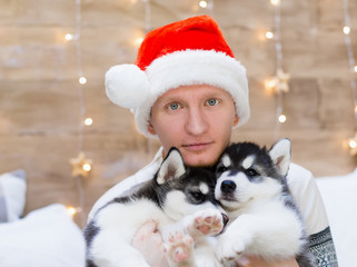 Fototapeta na wymiar Alexey. Man and puppy husky, Santa Claus hat, close up