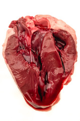 Dissected heart showing valves and atrium/ventricle chambers