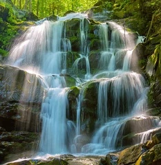 Selbstklebende Fototapete Wasserfälle Waldwasserfall Shipot. Ukraine, Karpaten.