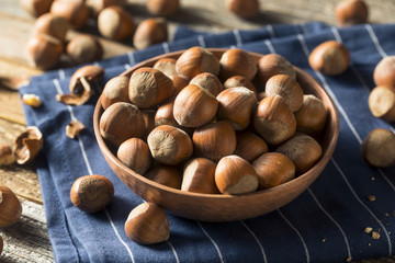 Raw Brown Organic Shelled Hazelnut Filberts