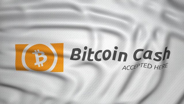 bitcoin cash accepted here, white flag waving animation, digital crypto currency concept