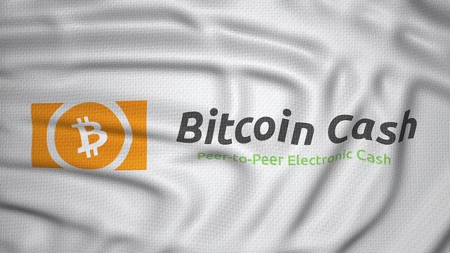 bitcoin cash Peer to Peer Electronic Cash
