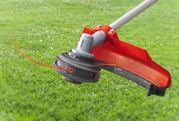 Lawnmower big head trimmer red machine on green grass in the garden