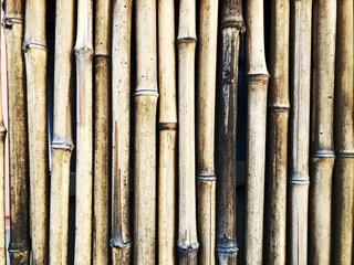 Vintage bamboo wall backgroud