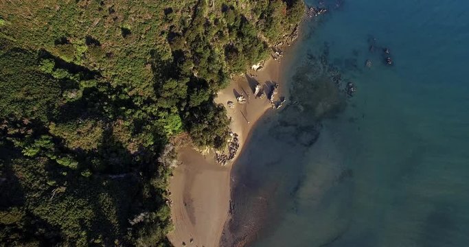 NEW ZEALAND &ndash; MARCH 2016 : Aerial shot over beach in Abel Tasman National Park on a sunny day