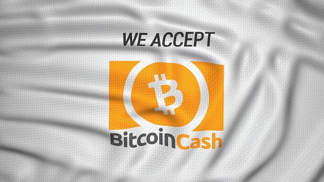 we accept bitcoin cash, crypto currency flag animation