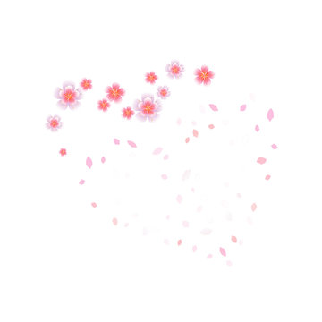 Pink flying flowers and petals isolated on white background. Sakura flowers. Heart of petals and flowers. Vector