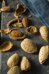 Raw Brown Organic Shelled Almonds