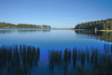 Fototapeta na wymiar reflet de ciel bleu sur le lac servieres et vegetation