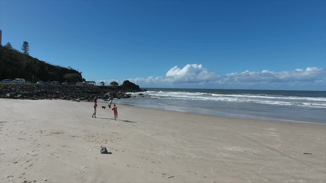 people playing on the beach
