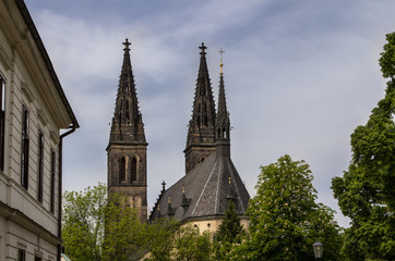 Fototapeta na wymiar Saint Peter and Paul Cathedral in Prague