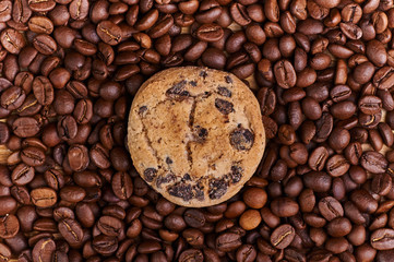 Traditional Christmas cookies with chocolate chips for Santa Claus. Fresh fragrant biscuits lying on a background of cocoa beans, coffee beans. A simple and mouth-watering dessert.