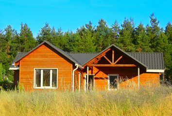 Fototapeta na wymiar Ecological Small wooden house. Wooden house with meadow in front of it. Beautiful modern wooden house. 