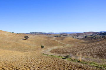 plowed spanish hills