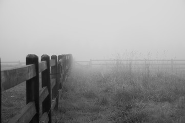 Wooden fence in the fog