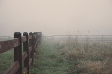 Deep fog in the morning on the farm in Seattle