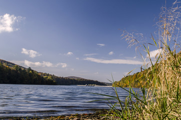 jezioro zalew  © wedrownik52