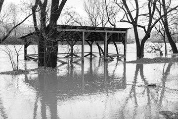 The river after the showers came out of the shores