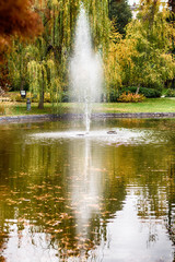 Danube park in Novi Sad, Serbia