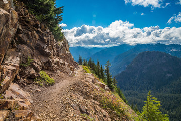 Obraz premium Rocky mountains covered with green forest with blue sky and white clouds on the background