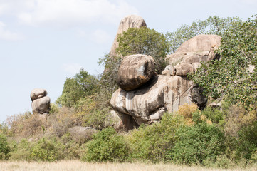 Kopjes Serengeti-Nationalpark