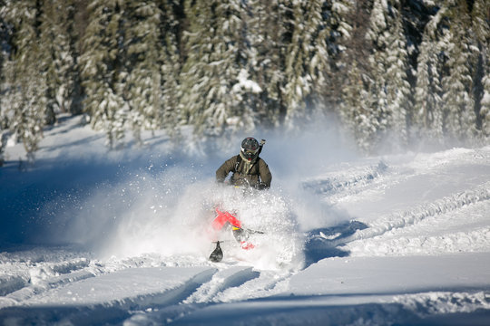 powder houd