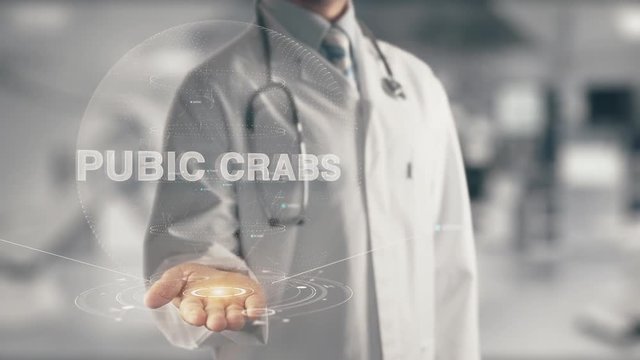 Doctor holding in hand Pubic Crabs