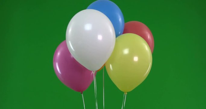 Green screen of colorful Balloons rising and flying ready for party