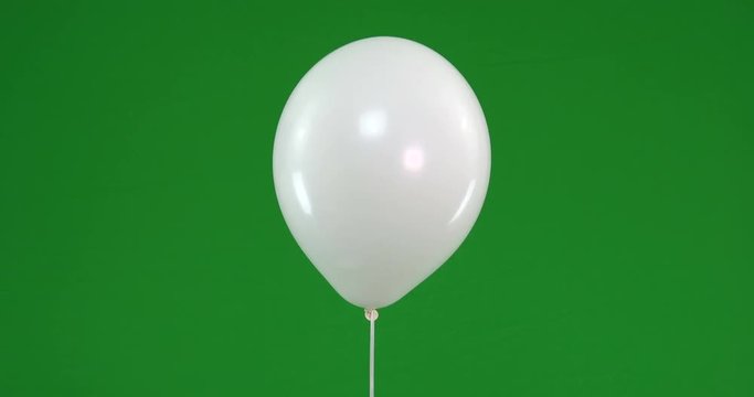 Green screen of colorful Balloons rising and flying ready for party