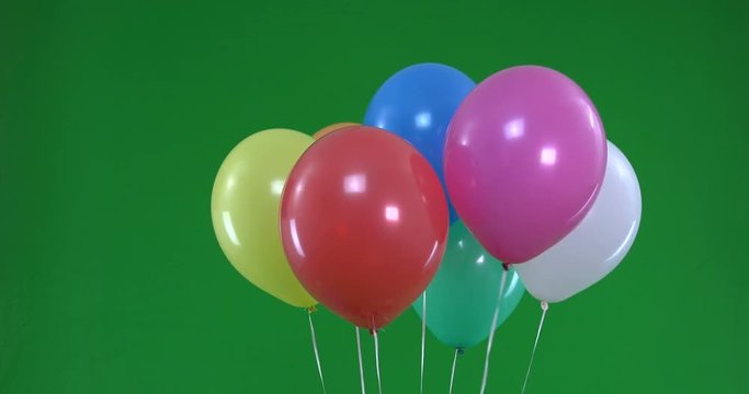 Green screen of colorful Balloons rising and flying ready for party